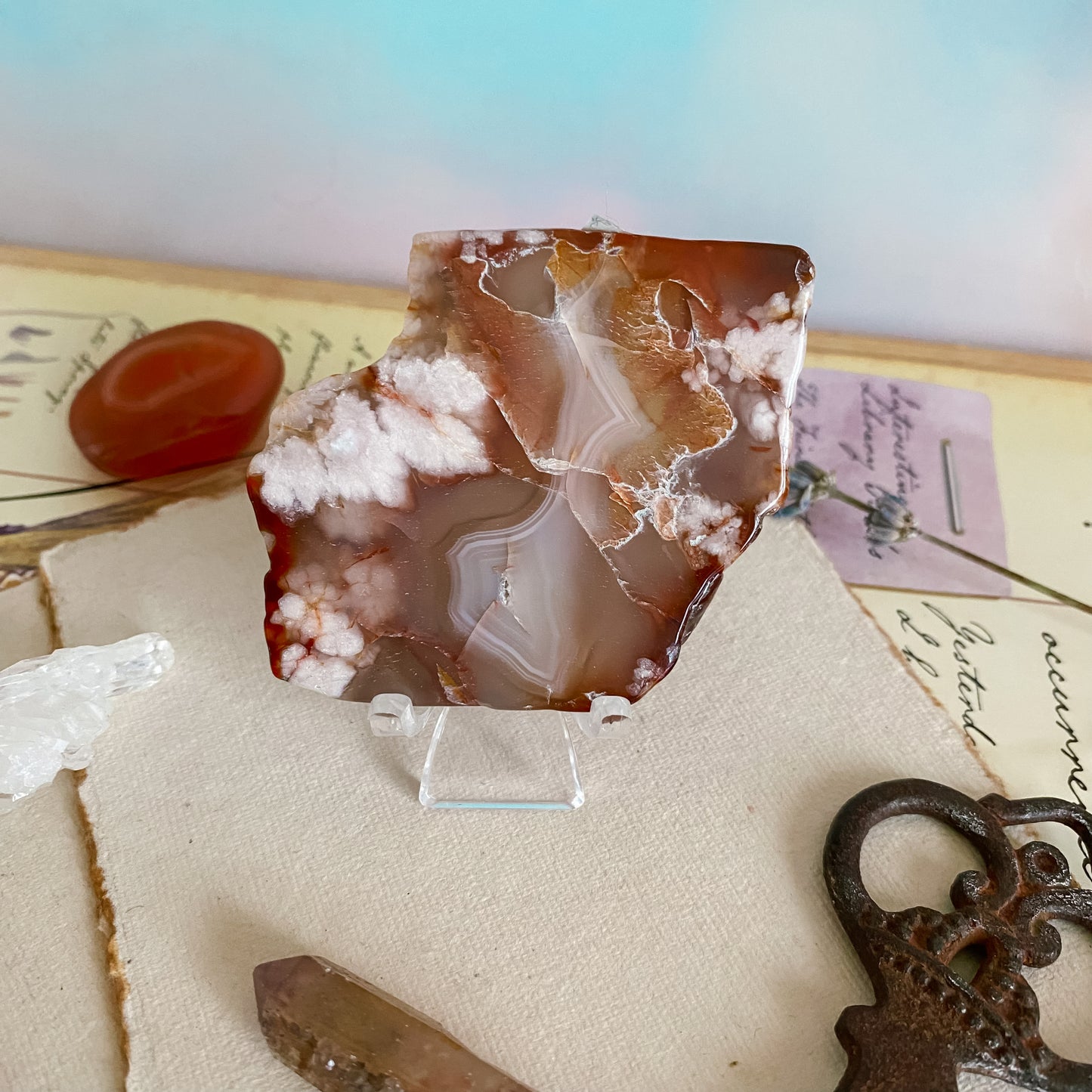 Flower agate Slice